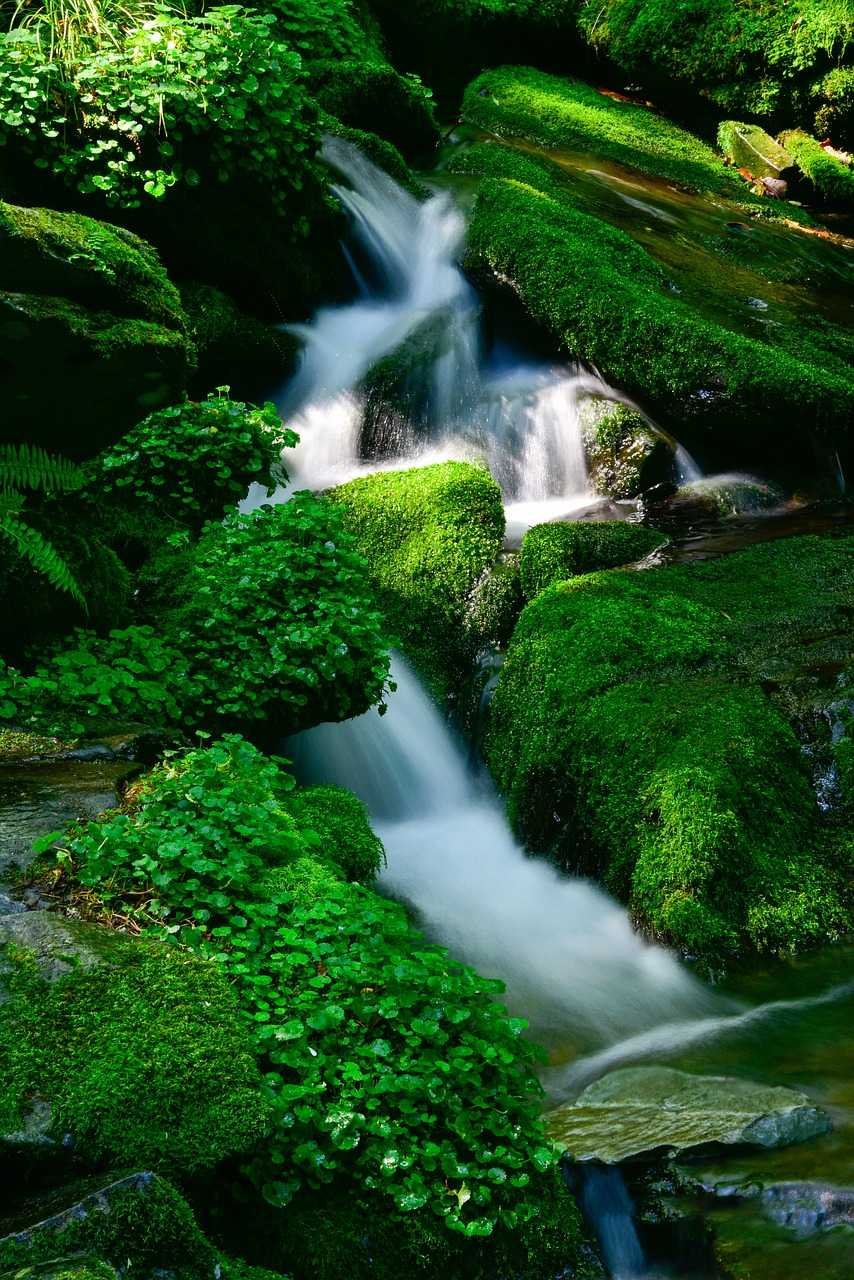 48 Hours Of Mountain Mood Manali 02N 03D By Travokash - Activity & Sightseeing
