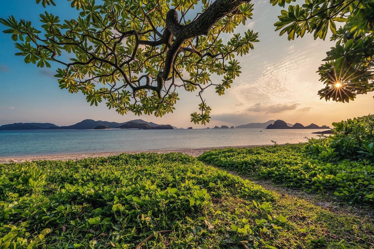 Andaman Paradise Plus – 03N 04D Of Island Magic
