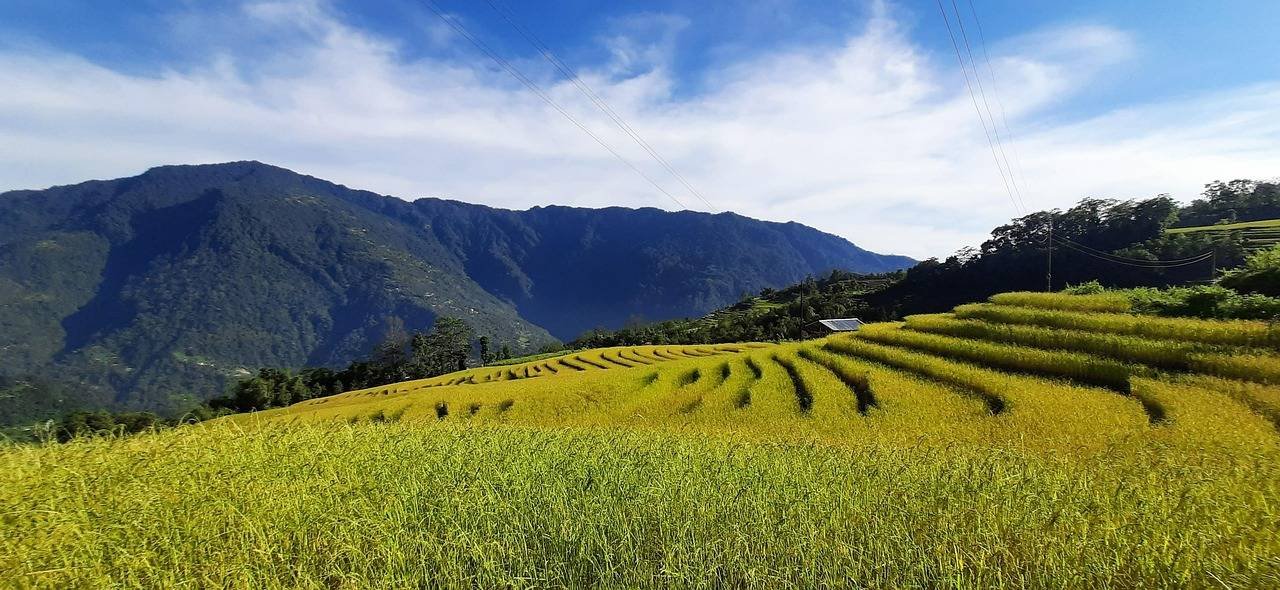 Travokash Gangtok + Darjeeling 04 Nights 05 Days package