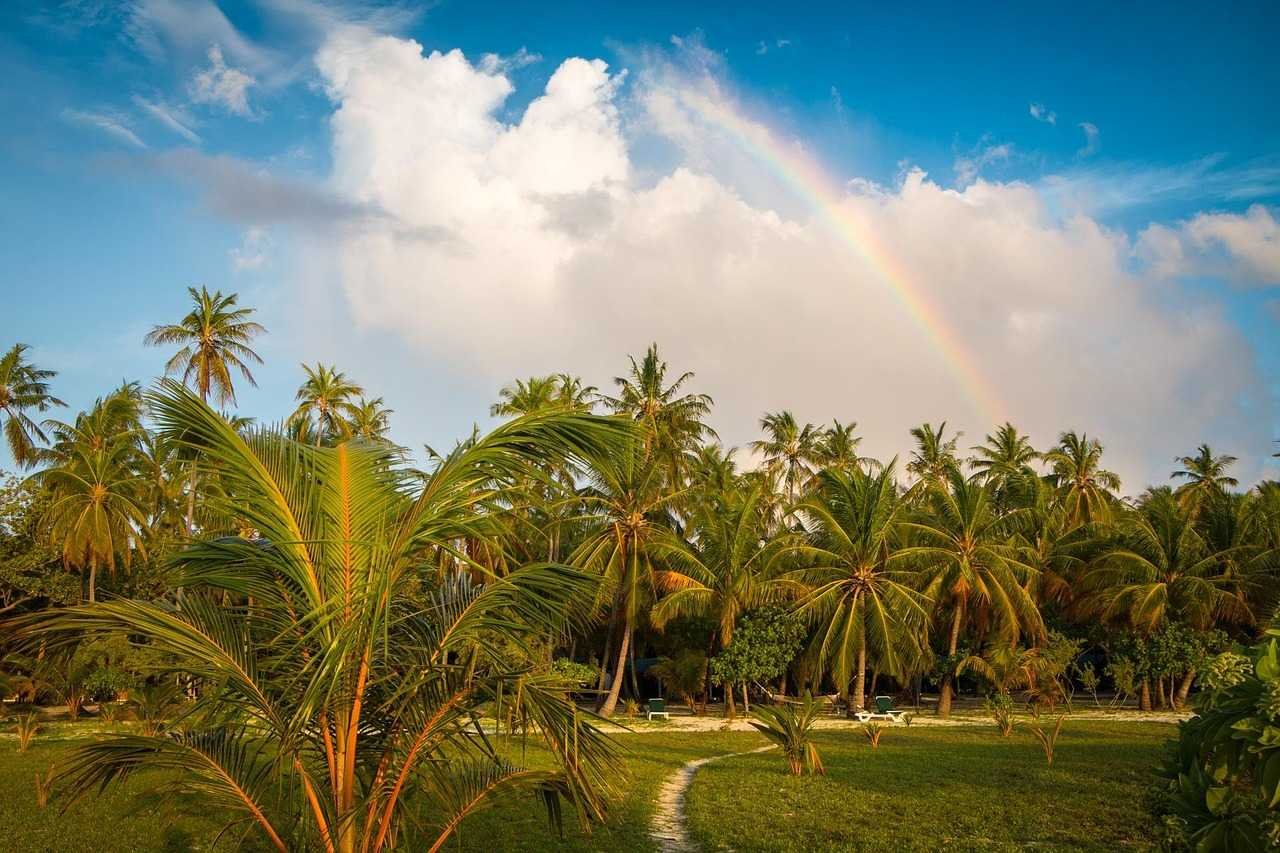 Maldives Dreamland 05N & 06D Of Bliss Travokash - Transfers