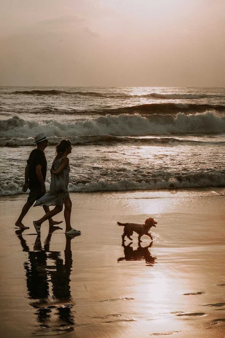 Travokash Bali Vibes Vacation – 06N 07D - Transfers