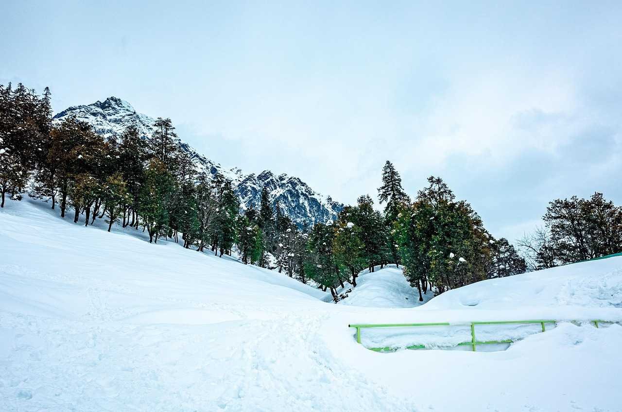 Shimla & Manali 4Nights 5 Days - Activity & Sightseeing