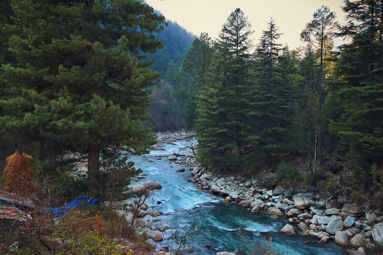 Shimla & Manali 4Nights 5 Days - Transfers