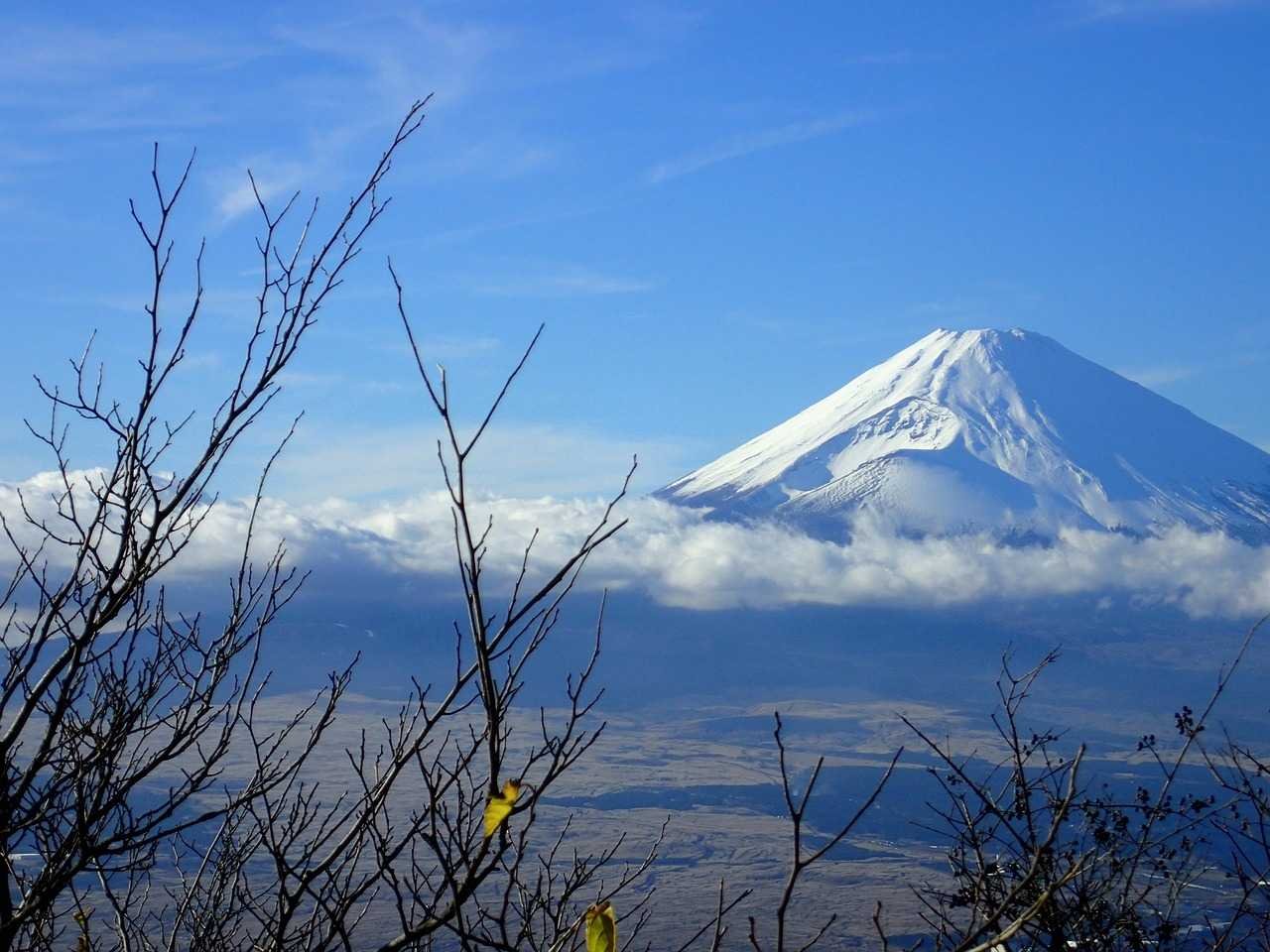 Japan Turns Pink – Sakura Moments Group Tour | Travokash - Transfers