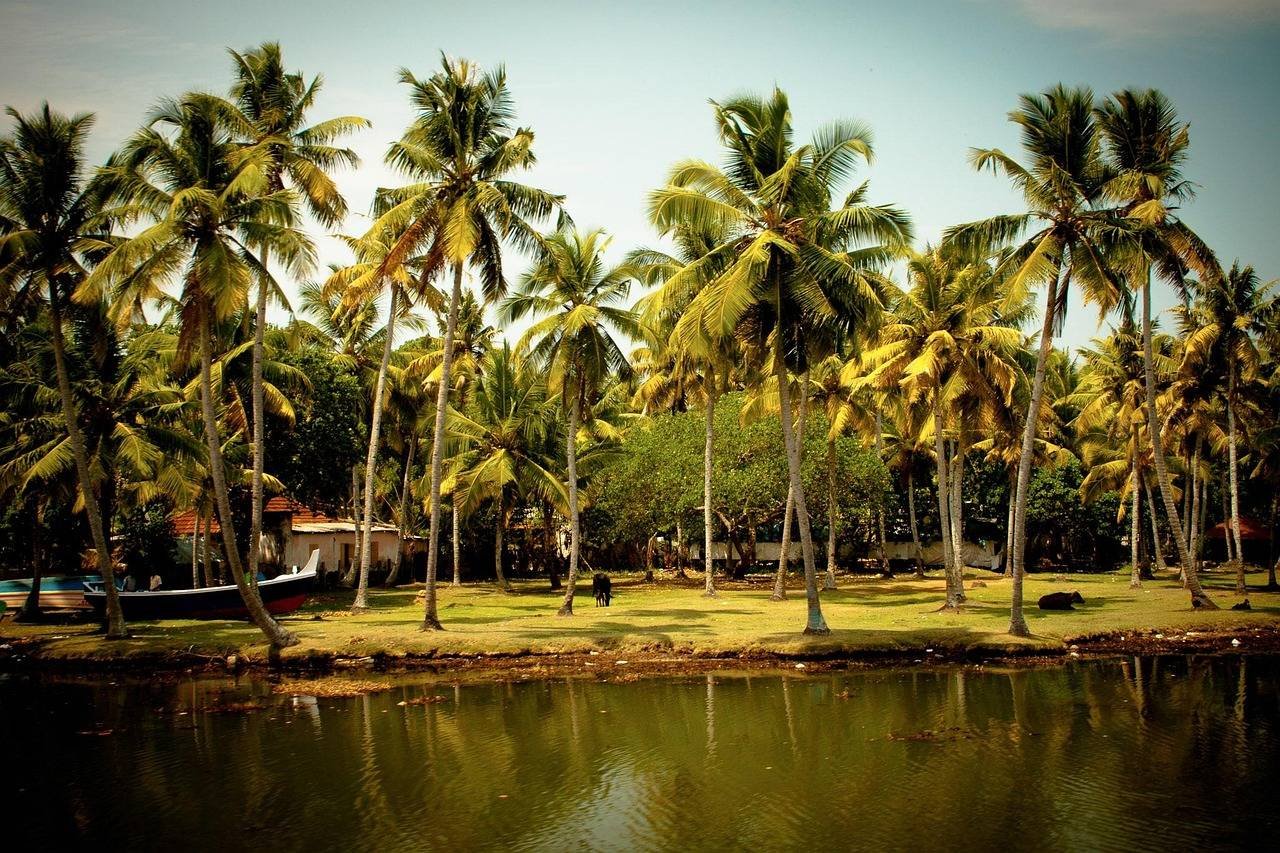 Travokash God’s Own Retreat – Short Kerala Journey 03N 04D