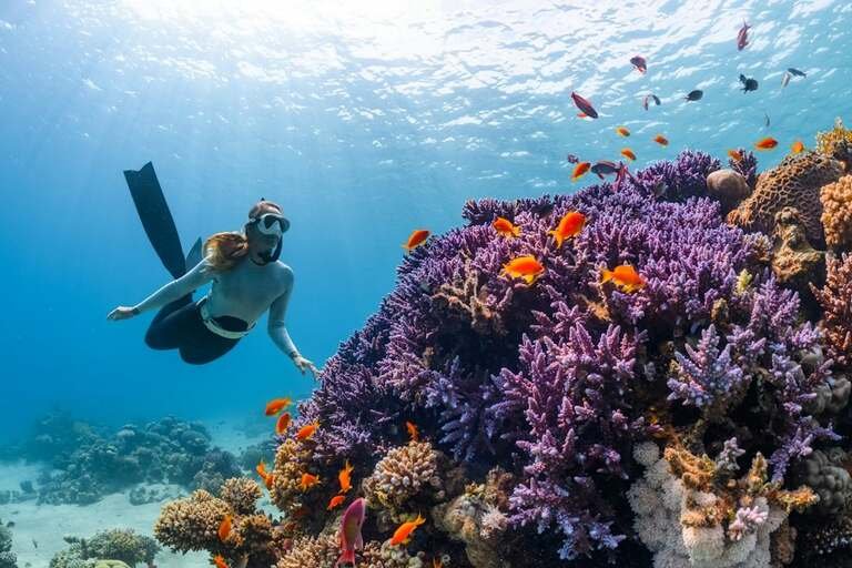 Lakshadweep 4 Nights / 5 Days - Stays