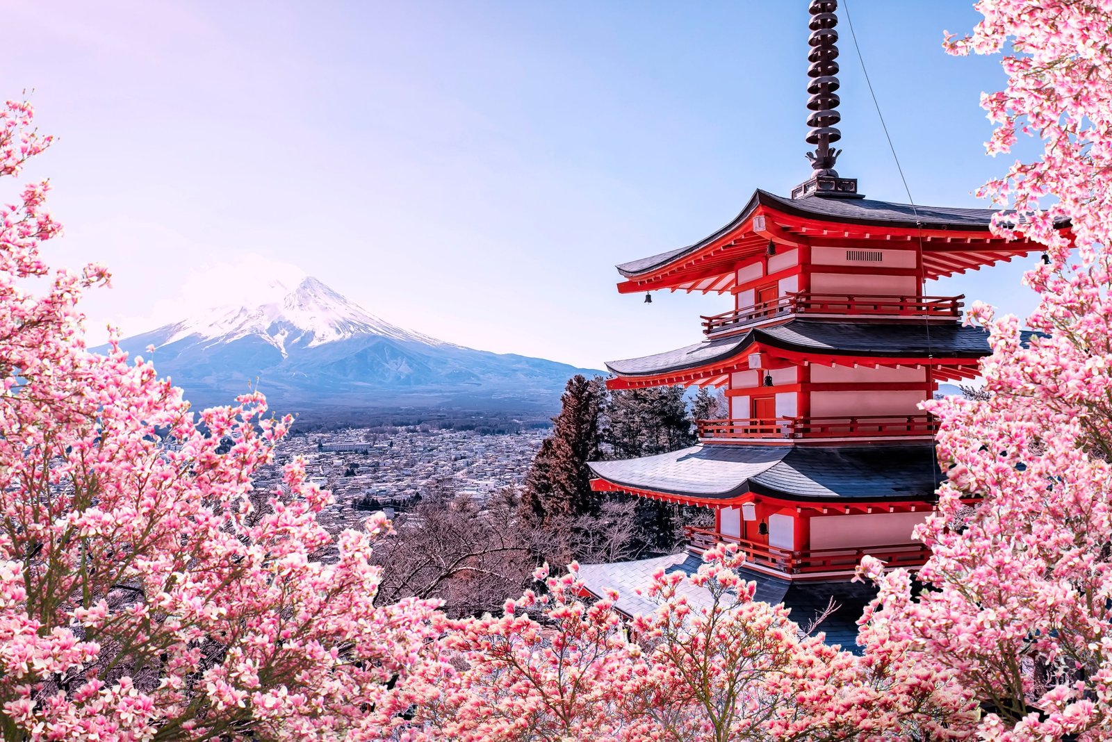 Japan Turns Pink – Sakura Moments Group Tour | Travokash